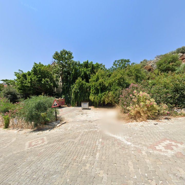 Fotoğraf 9