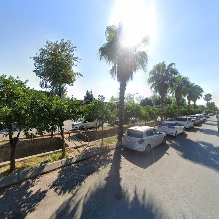 Fotoğraf 6