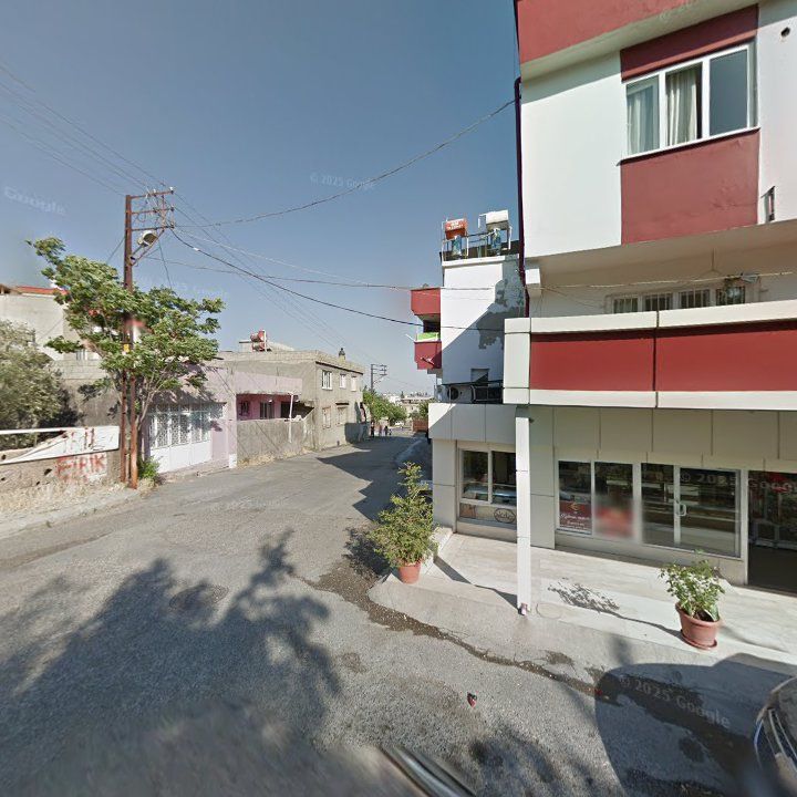 Fotoğraf 7