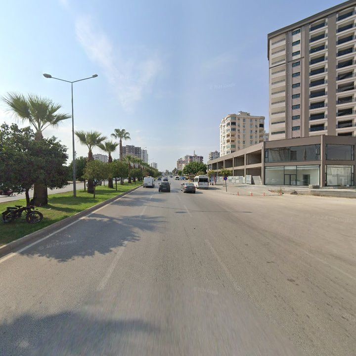 Fotoğraf 12
