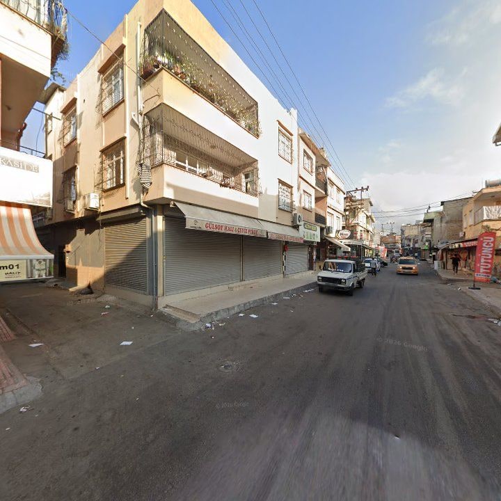 Fotoğraf 10