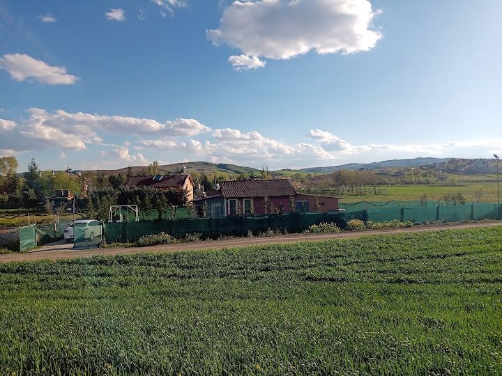 Akının bahçesi