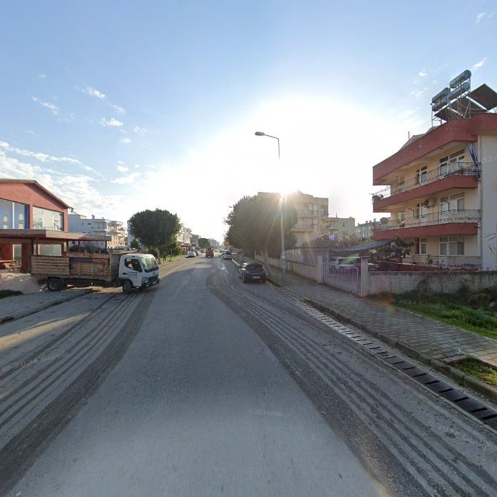 Fotoğraf 8
