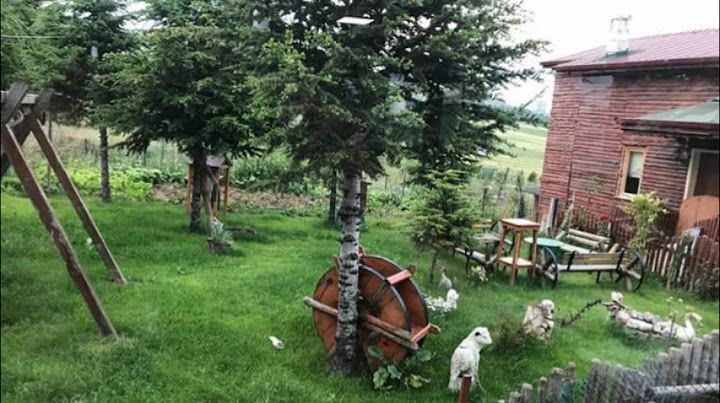 Fotoğraf 8