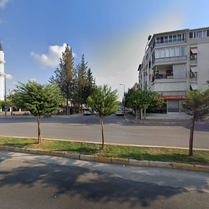 Fotoğraf 7