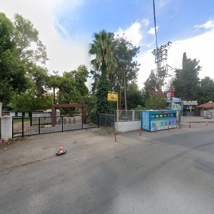 Fotoğraf 4