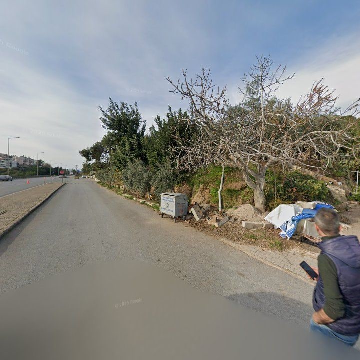 Fotoğraf 7