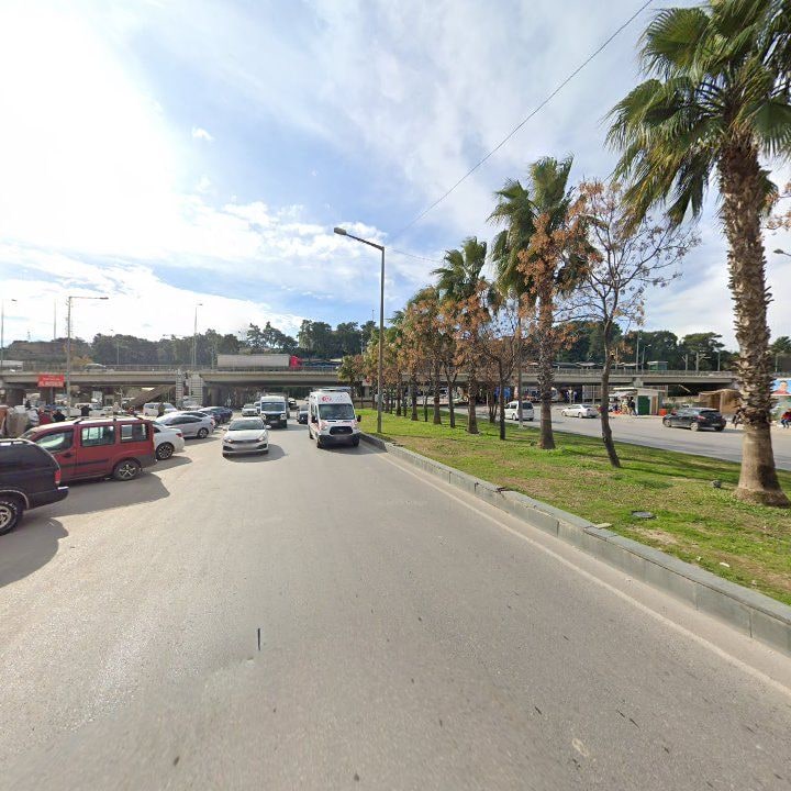 Fotoğraf 8