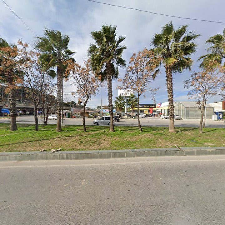 Fotoğraf 8