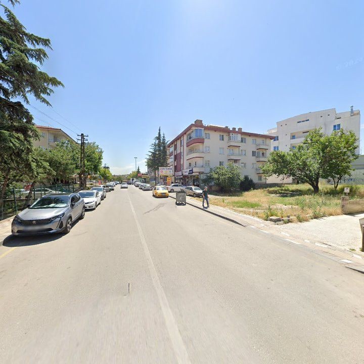 Fotoğraf 11
