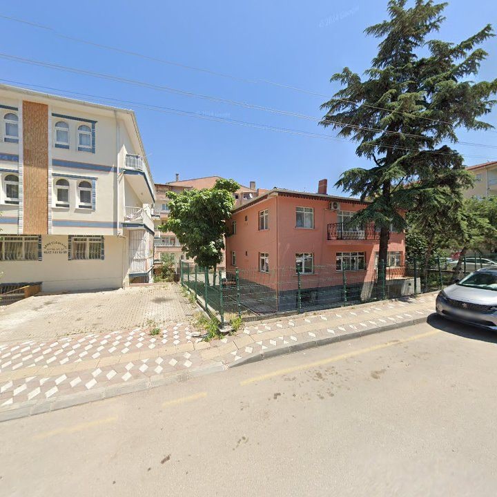 Fotoğraf 10