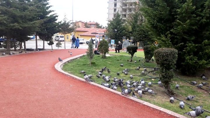 Fotoğraf 3