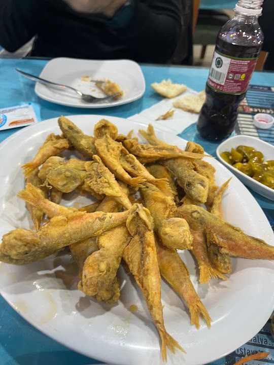 Akvaryum Balık Restoran