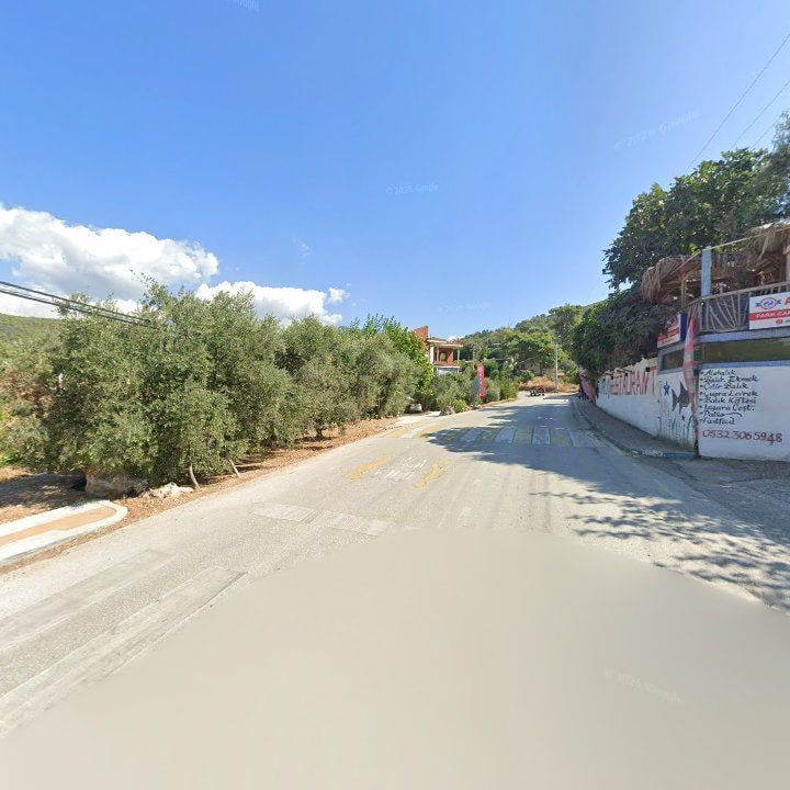 Fotoğraf 12