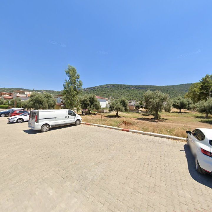 Fotoğraf 8
