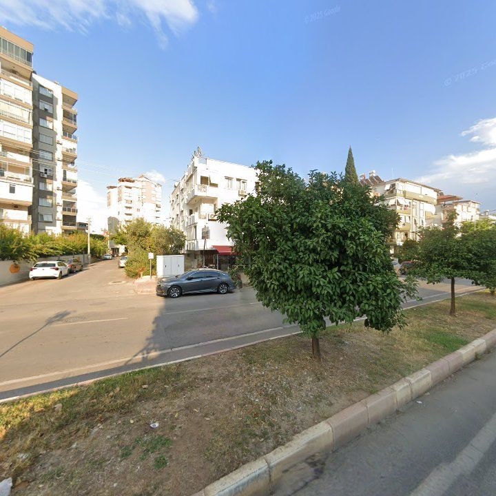 Fotoğraf 12