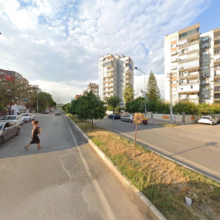 Fotoğraf 11