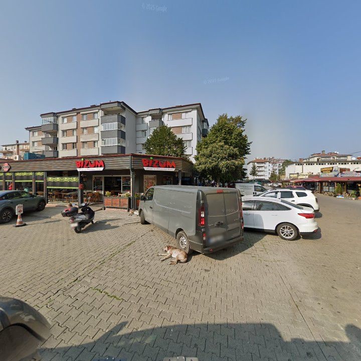 Fotoğraf 10