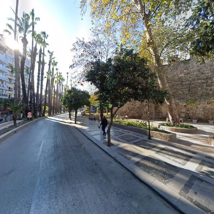 Fotoğraf 7