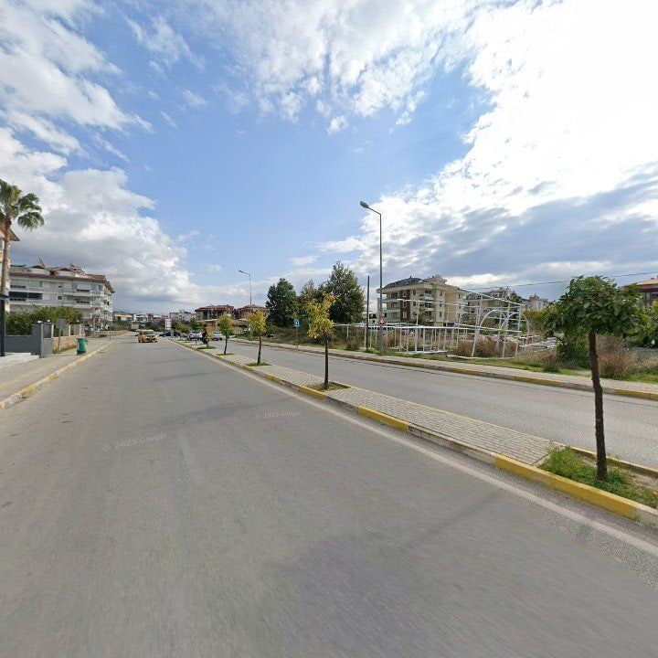 Fotoğraf 12