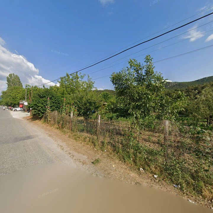 Fotoğraf 9
