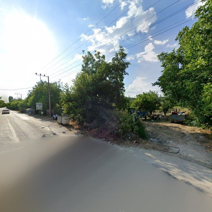 Fotoğraf 11