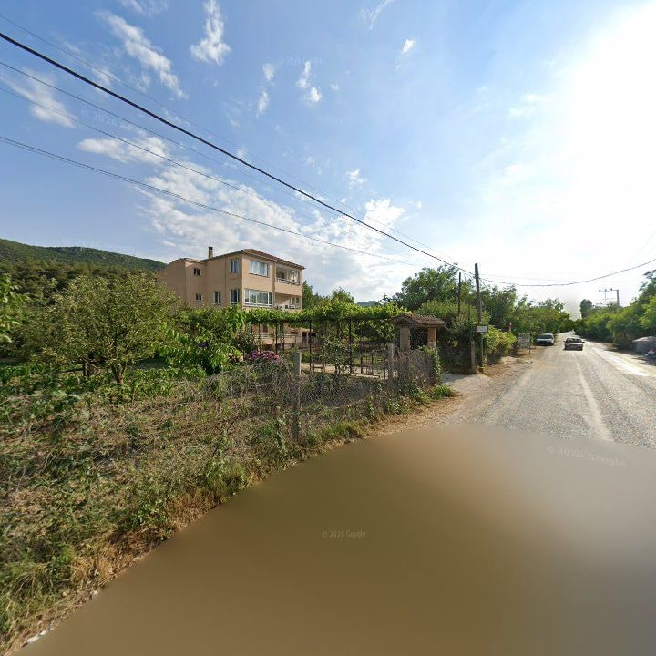 Fotoğraf 10