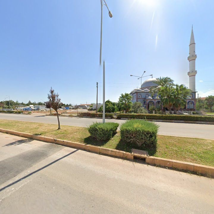 Fotoğraf 8