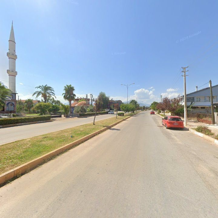 Fotoğraf 9