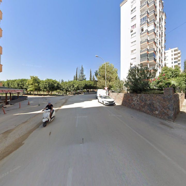 Fotoğraf 6