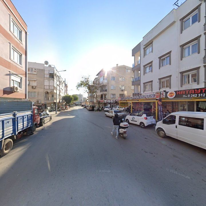 Fotoğraf 8