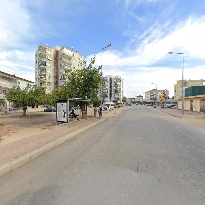 Fotoğraf 10