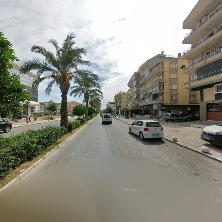 Fotoğraf 7