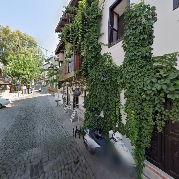 Fotoğraf 11