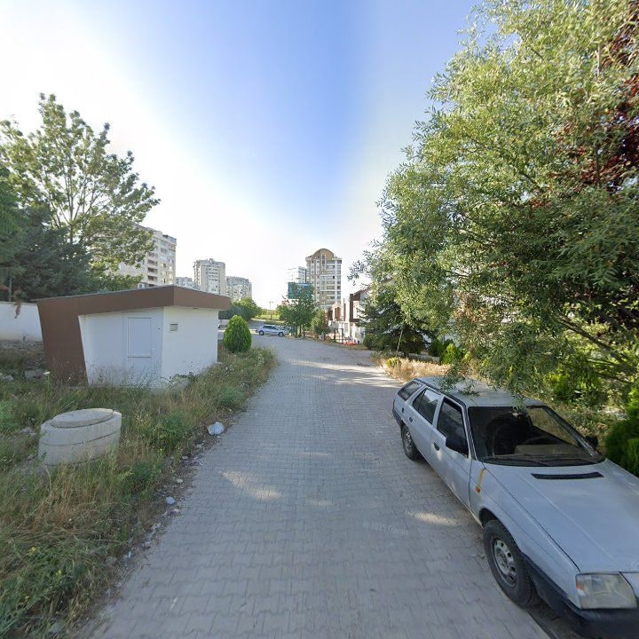 Fotoğraf 10