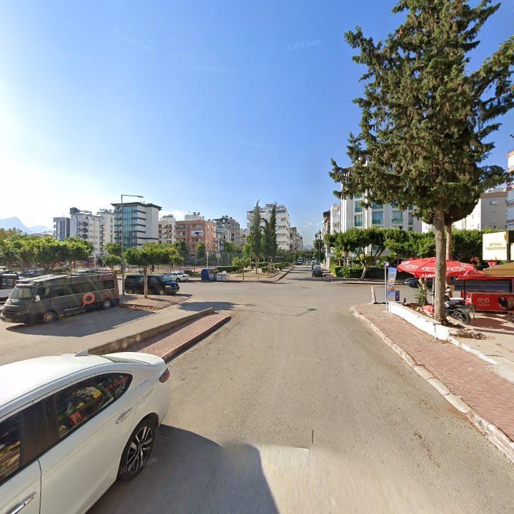Fotoğraf 8