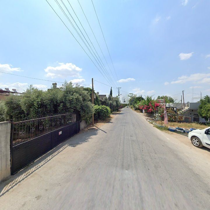 Fotoğraf 7