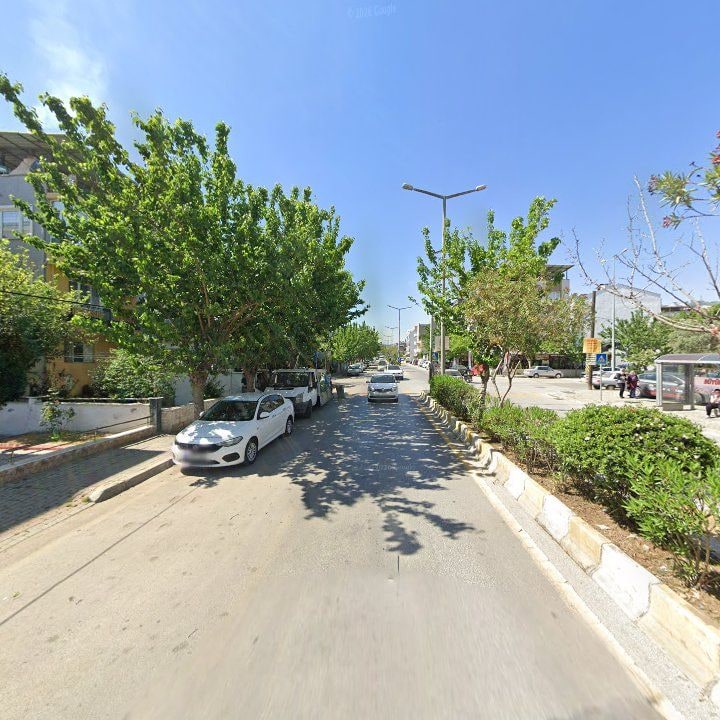 Fotoğraf 9