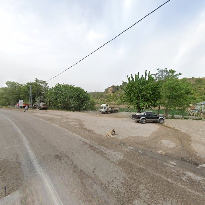 Fotoğraf 11