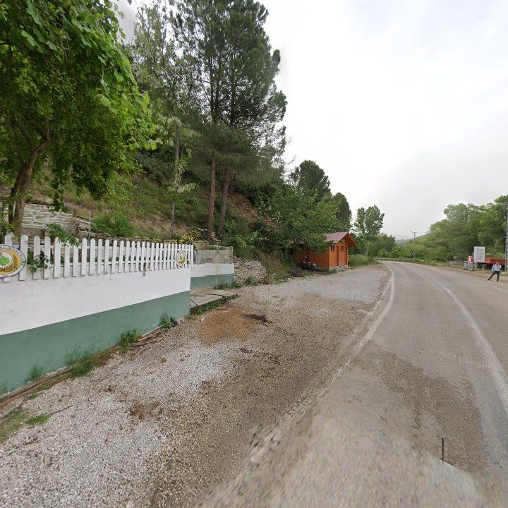 Fotoğraf 10