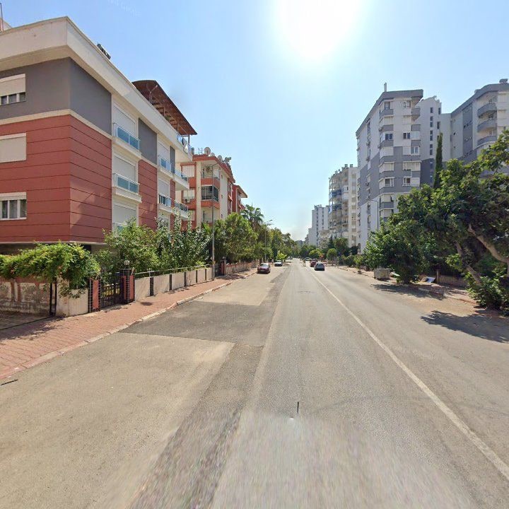 Fotoğraf 12