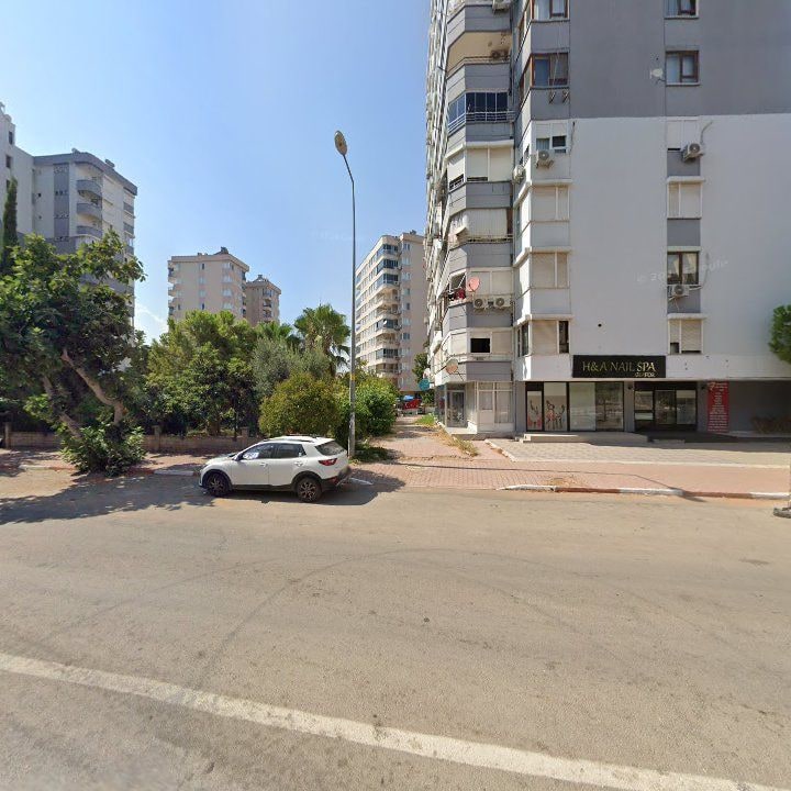 Fotoğraf 9