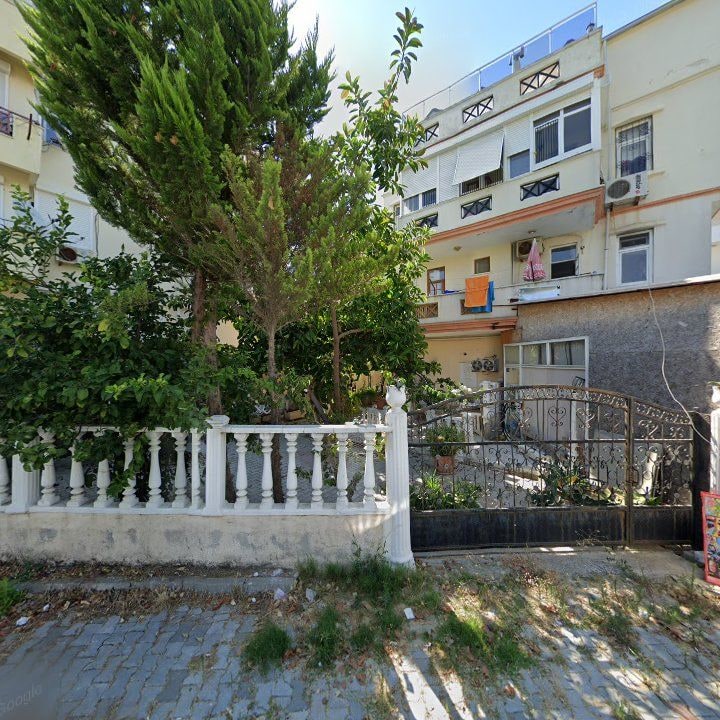 Fotoğraf 11