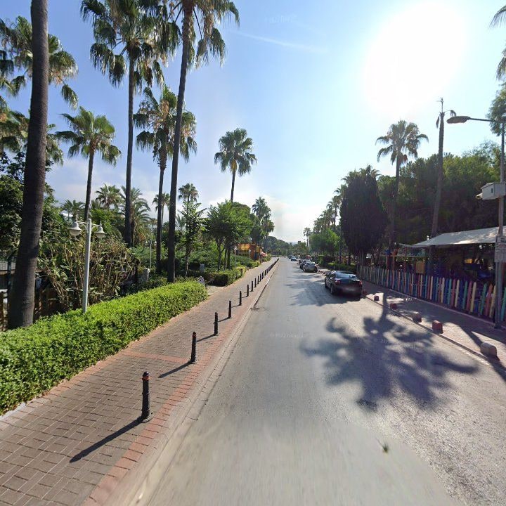 Fotoğraf 11