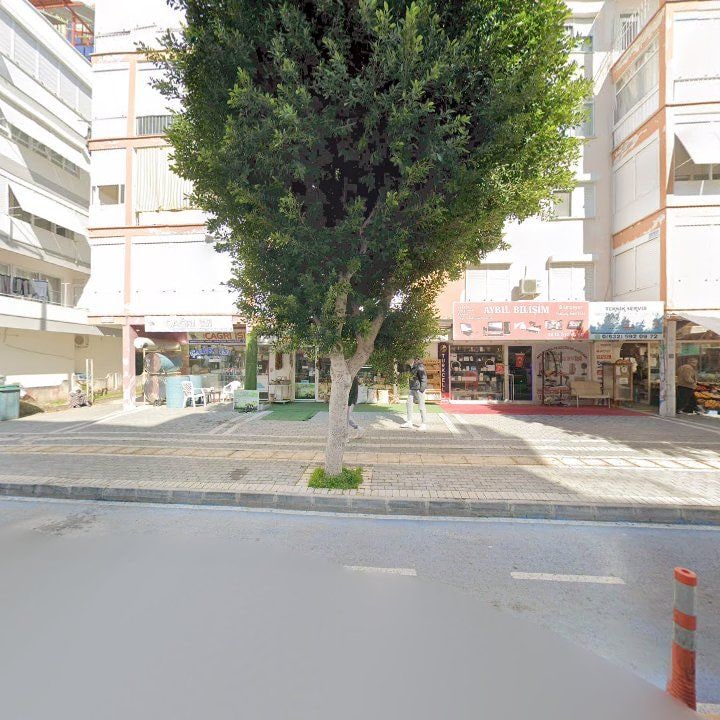 Fotoğraf 6