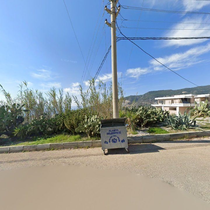 Fotoğraf 8