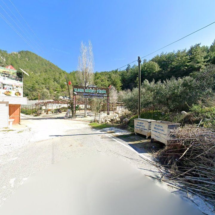 Fotoğraf 11
