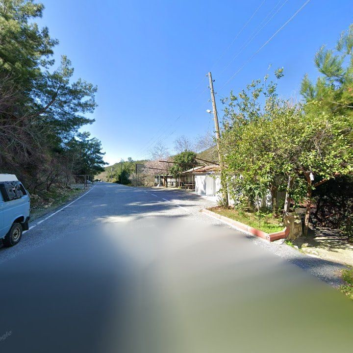 Fotoğraf 13