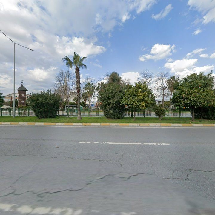 Fotoğraf 9