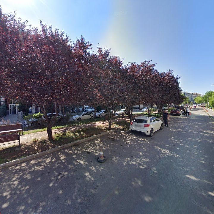 Fotoğraf 8